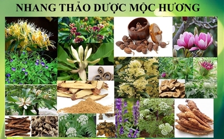 18 thành phần thảo mộc tự nhiên tạo nên Nhang Thảo Dươc Moc Huong