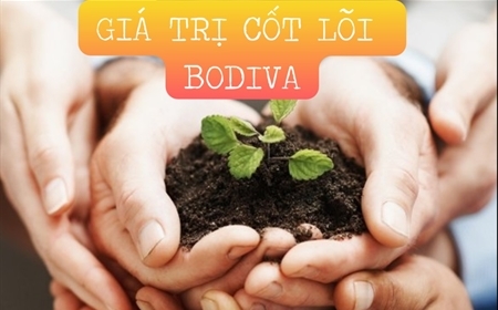 GIÁ TRỊ CỐT LÕI - MỘC HƯƠNG BODIVA